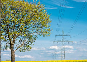 矩形 6 拷贝 2.png